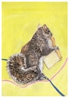 Squirrel with Toast – A3 Mounted Print