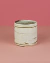 Marbled Mug 4