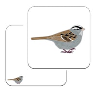 Image 3 of White-crowned Sparrow - No.131 - UK Birding Series