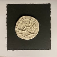 Image 6 of Tree Ring Cards