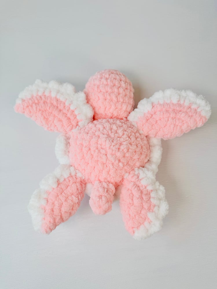 Image of Heart Turtle preorder