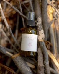 Bug Repellent 4oz