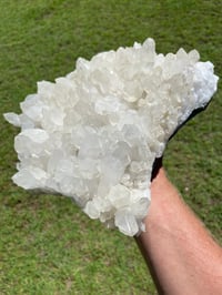 Image 12 of Quartz Points Cluster Statement Display Piece | Brazil #2911