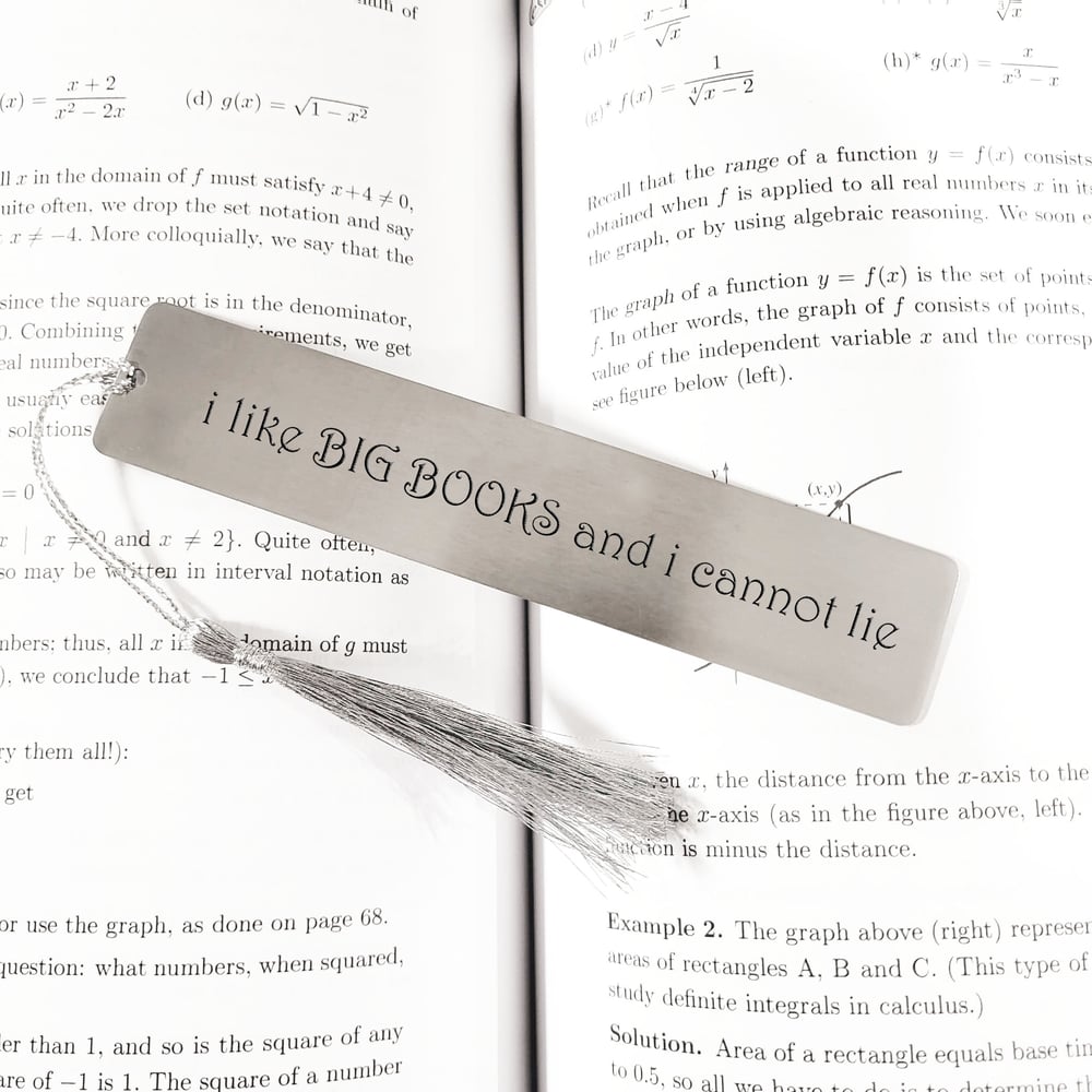 Image of i like Big Books and I cannot lie, METAL Bookmark in Steel Silver Color