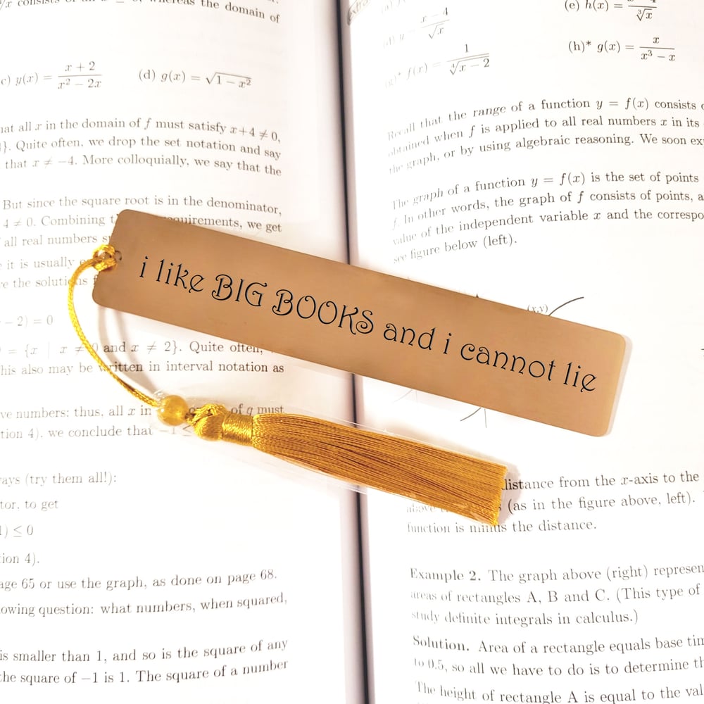 Image of i like Big Books and I cannot lie, METAL Bookmark in ROSE GOLD Color