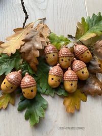 Mr cute acorn 