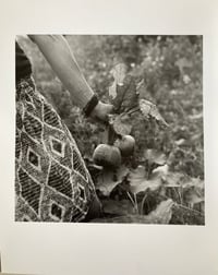 Silver gelatin Print / beetroot