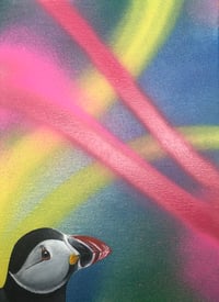 Puffin profile canvas. Line. By Akit. 