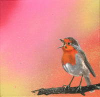 Singing Robin on branch. By Akit.