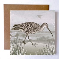 Image 1 of SPRING CURLEW GREETING CARD