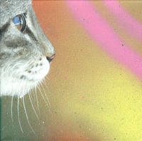 Tabby cat profile canvas. By Akit.