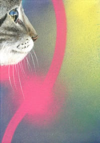 Tabby cat pink line canvas. By Akit.