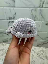 Image 2 of Mini Whale 