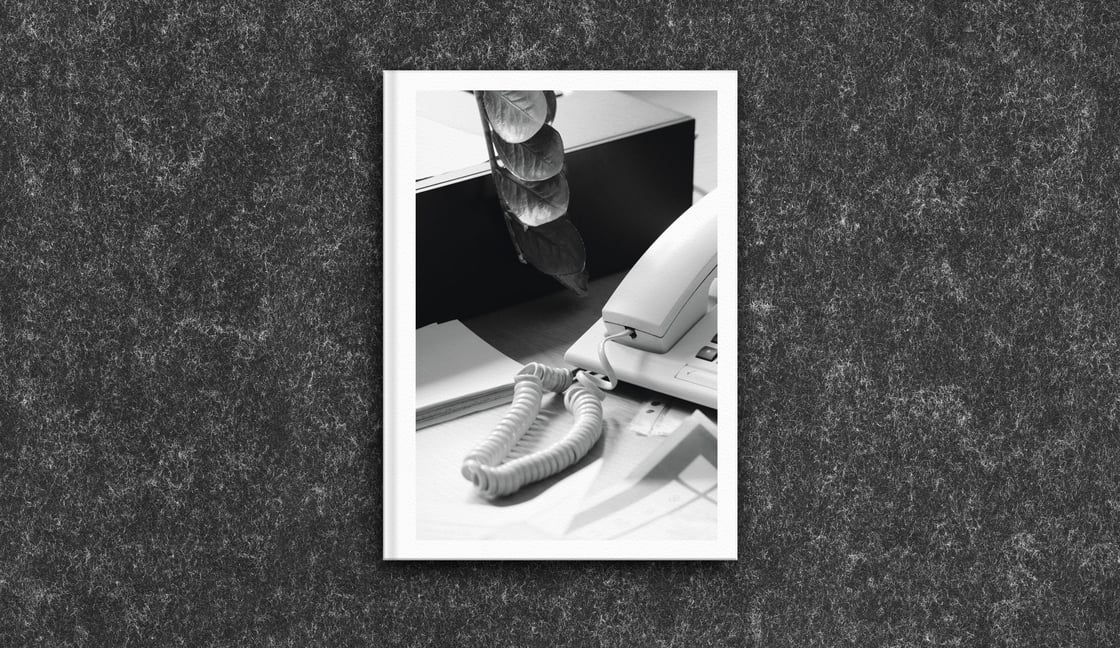 Image of Büropflanze (office plant)