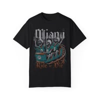 Image 1 of Miami Dolphins - Roller coast T-shirt (Ride or Die)