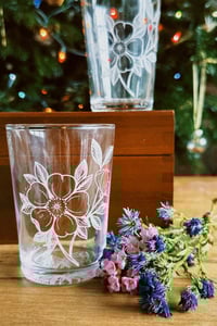 Image 1 of Dog rose glasses with elm wood box 