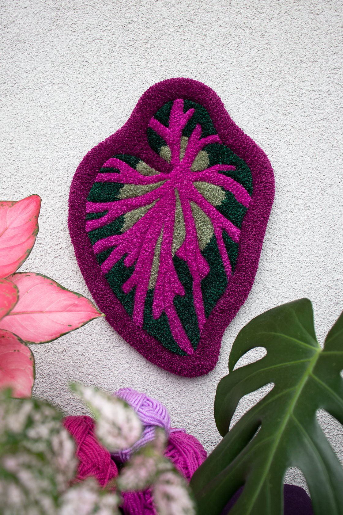 Image of BEGONIA STRIPE