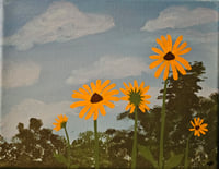 Image 1 of Yellow daisies 