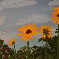 Image 3 of Yellow daisies 