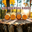 Image 1 of AKC ESSENTIAL BASICS