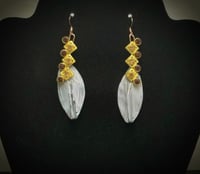 Image 2 of Fall Backs