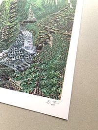 Image 4 of Forest Formula #1 - Nino Baumgartner