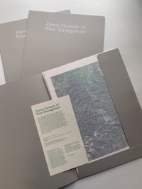 Image 2 of Forest Formula #1 - Nino Baumgartner