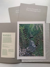 Image 3 of Forest Formula #1 - Nino Baumgartner
