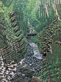 Image 1 of Forest Formula #1 - Nino Baumgartner