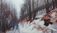 Camino del Esteralbo 2 / Esteralbo road 2