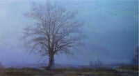 Niebla en Campollano /  Fog in Plainfield