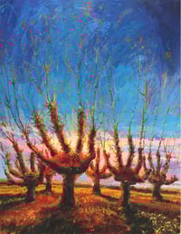 Image 1 of Los robles manos / The oaks hands