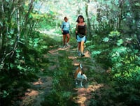 Image 1 of Un paseo por el bosque /  A walk in the woods