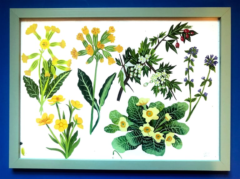 Framed hand painted illustrations - flowers
