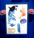 Framed hand painted illustrations - Orca and jellyfish Image 2