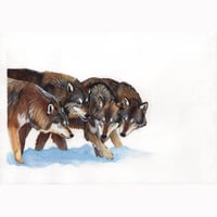 Image 2 of Wolf Family - Original Painting