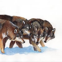 Image 3 of Wolf Family - Original Painting