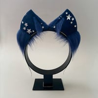Image 1 of Navy Stars Kitten