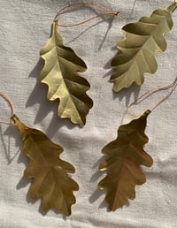 Image 1 of Brass Oak Leaf