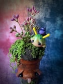 Flora