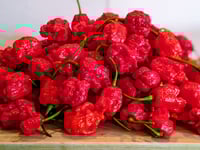 Image 2 of Garlic Reaper