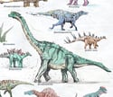 Dinosaur Print 