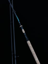 Image 5 of Kingfisher Limited Edition Avon Specials