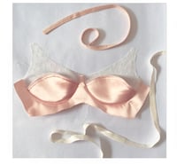 Image 3 of  E-COURSE Luxury Bra Sewing Masterclass