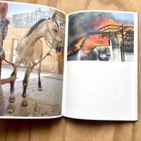 Image 7 of Lynn Alleva Lilley - Tender Mint (Signed)