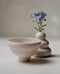 Image of Teacup #13
