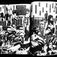 Image 5 of Nobuyoshi Araki 'Fake Reportage'
