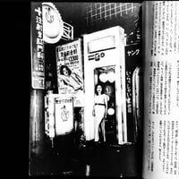 Image 2 of Nobuyoshi Araki 'Fake Reportage'