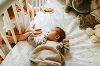 Image 1 of In Home Lifestyle Sessions 