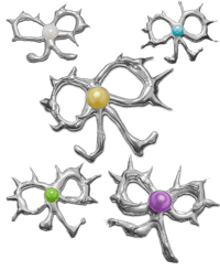 Image 2 of SILVER PEPAS